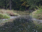 IMG 4616